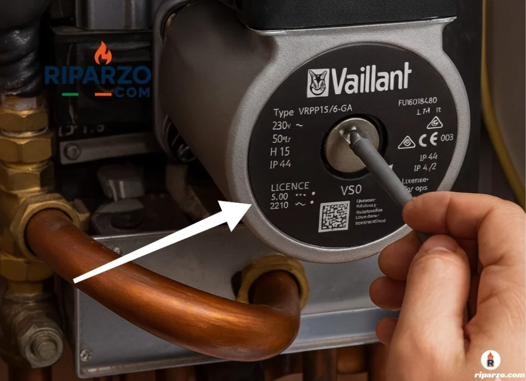 pompa caldaia vaillant